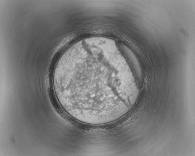 X0000115030734200911161506