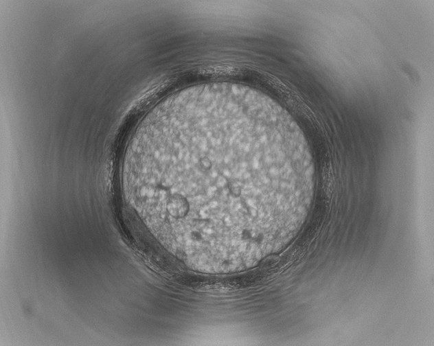 X0000115030735200911161506