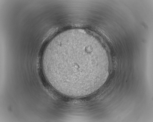 X0000115030738200911161506