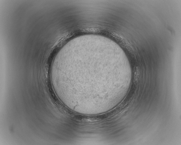 X0000115030739200911161506