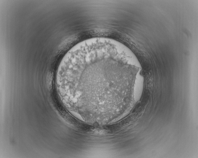 X0000115030742200911161506