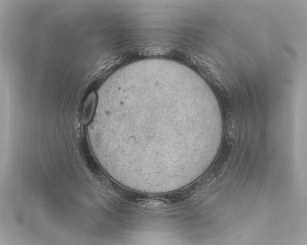 X0000115030743200911161506