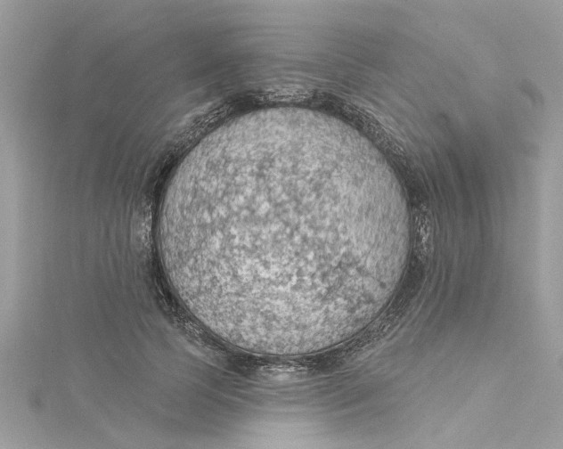 X0000115030745200911161506