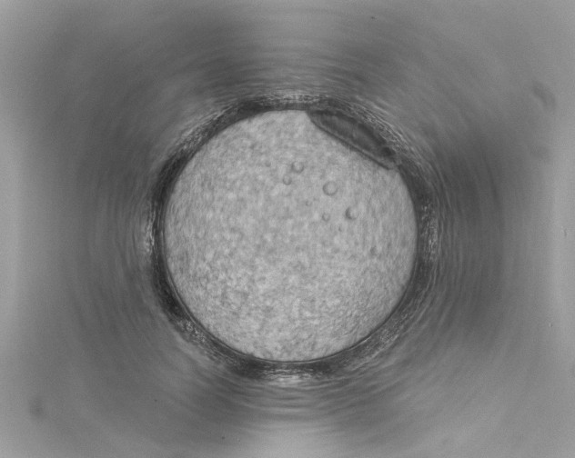 X0000115030746200911161506