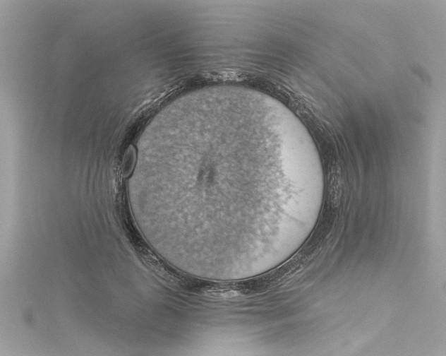 X0000115030747200911161506