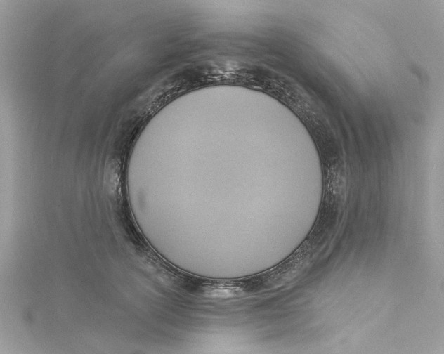 X0000115030754200911161506