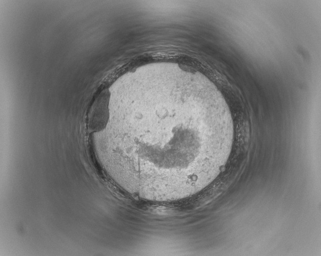 X0000115030755200911161506