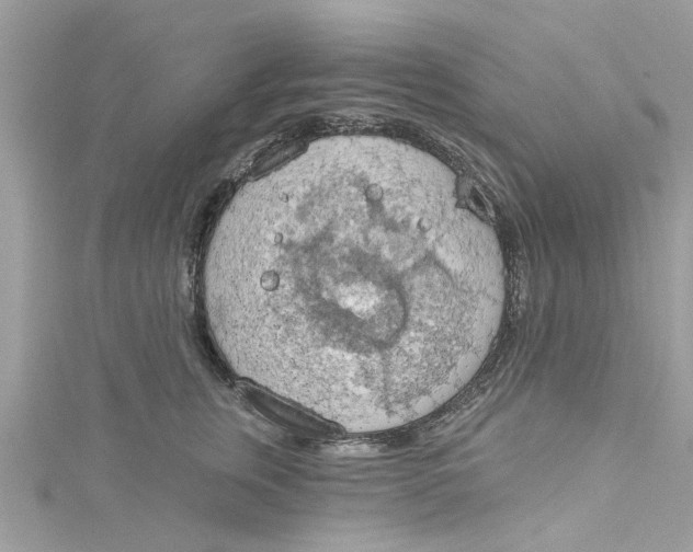 X0000115030759200911161507