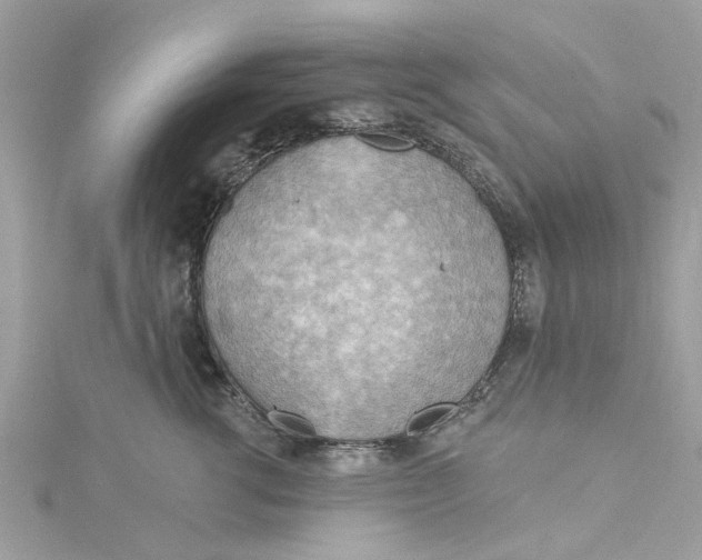 X0000115030762200911161507