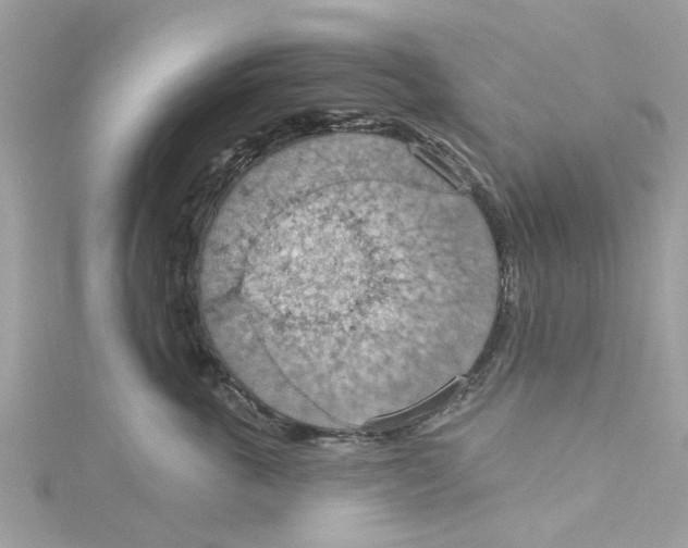 X0000115030763200911161507