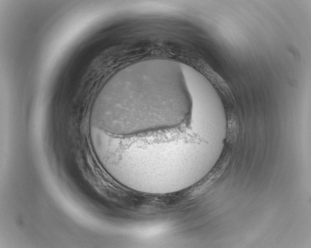 X0000115030765200911161507