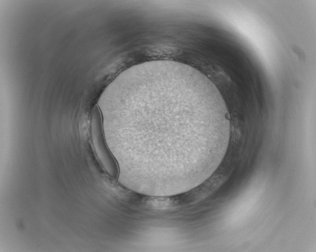 X0000115030767200911161507