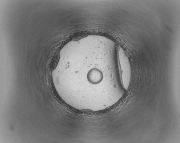 X0000115030769200911161506