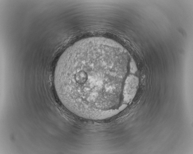 X0000115030772200911161506