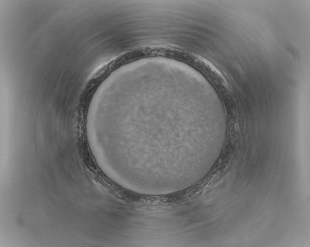 X0000115030775200911161506