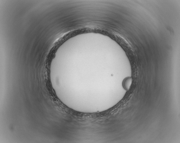 X0000115030776200911161506