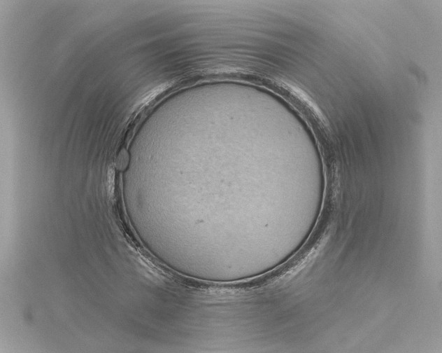 X0000115030777200911161506