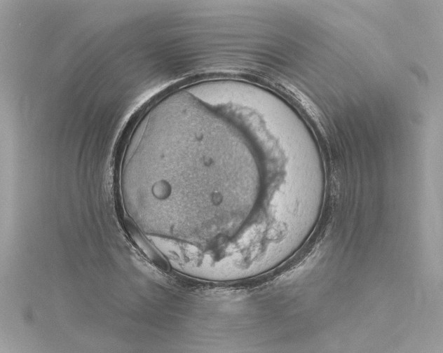 X0000115030779200911161506