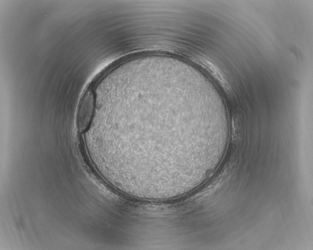 X0000115030780200911161506