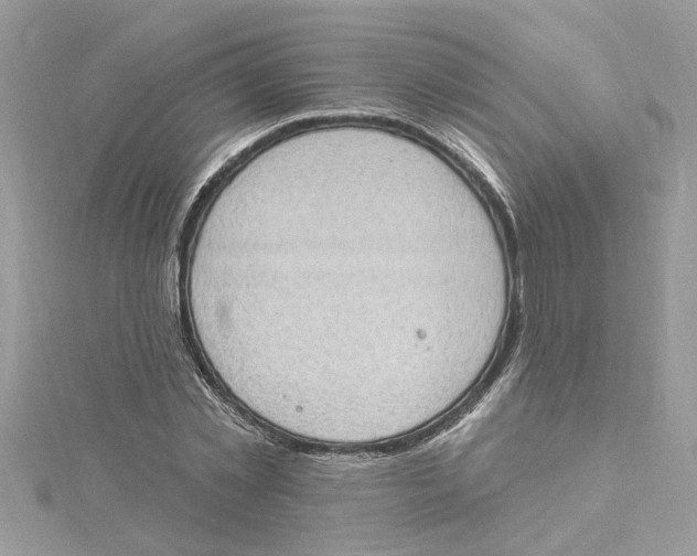 X0000115030781200911161506