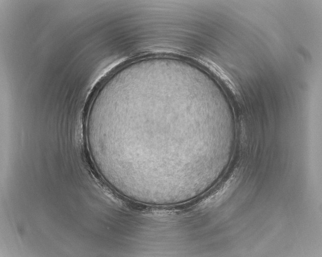 X0000115030782200911161506