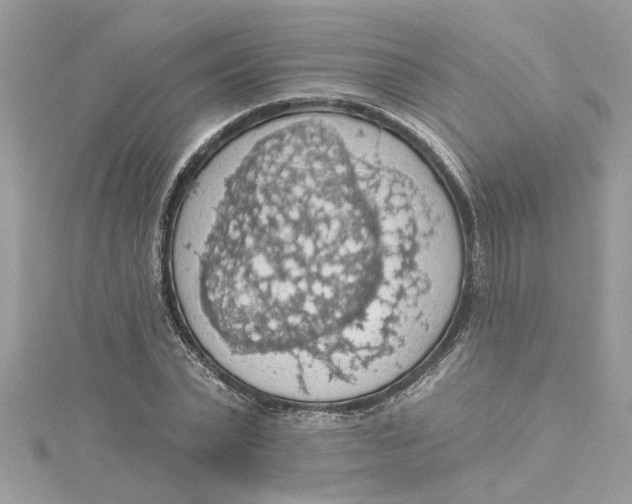 X0000115030783200911161506