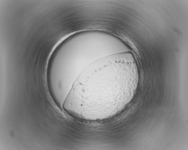 X0000115030784200911161506