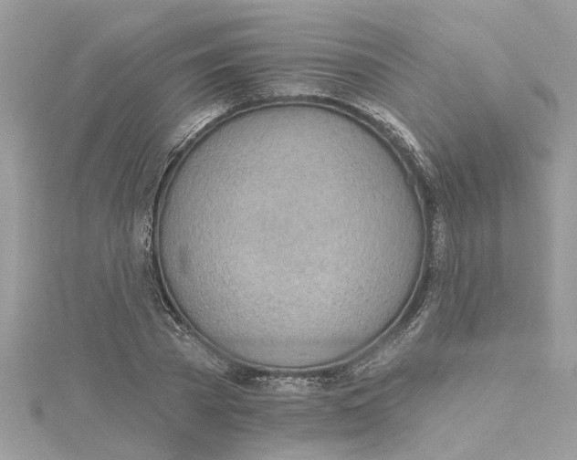 X0000115030785200911161506