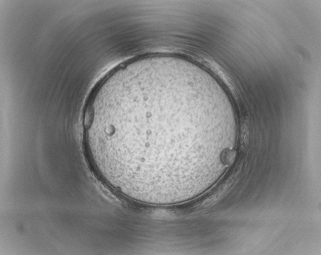 X0000115030787200911161506