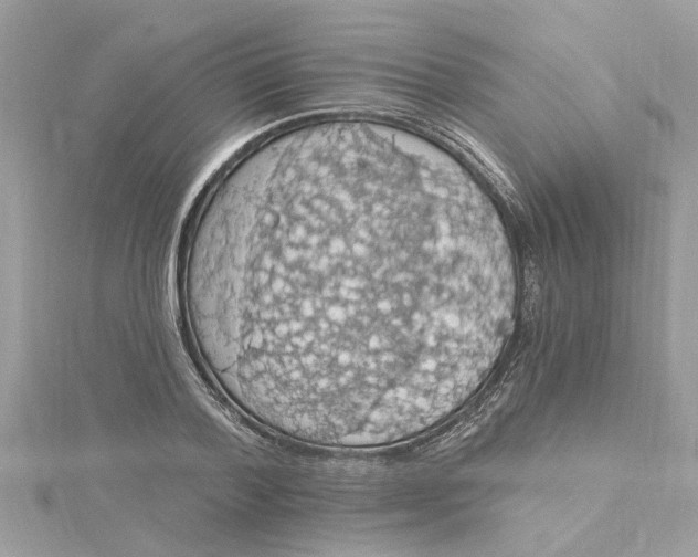 X0000115030788200911161506