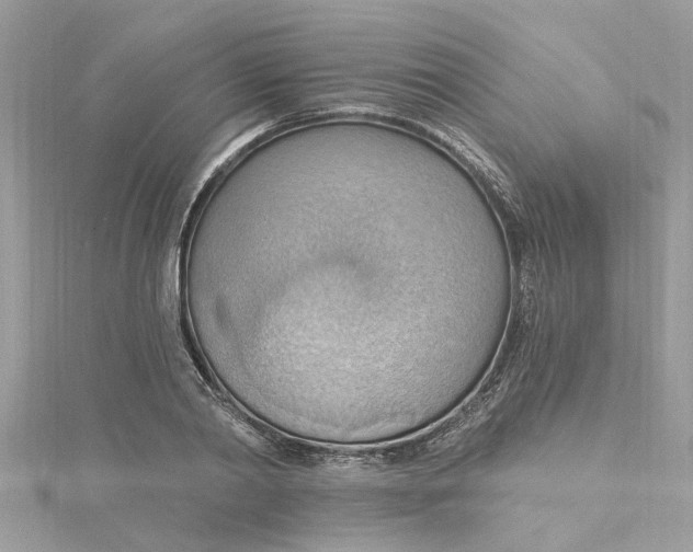 X0000115030790200911161506