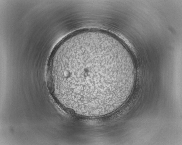 X0000115030791200911161506