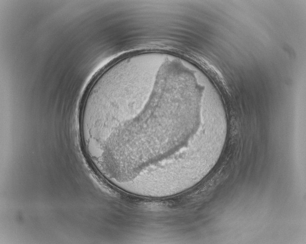 X0000115030792200911161506