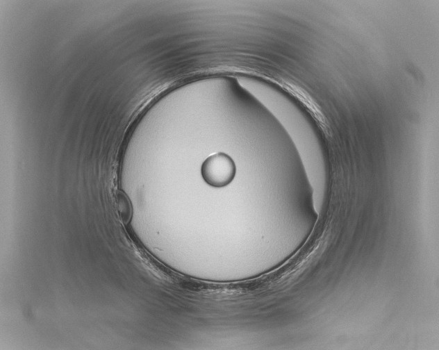 X0000115030793200911161506