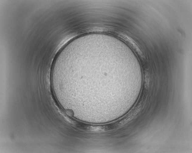 X0000115030794200911161506