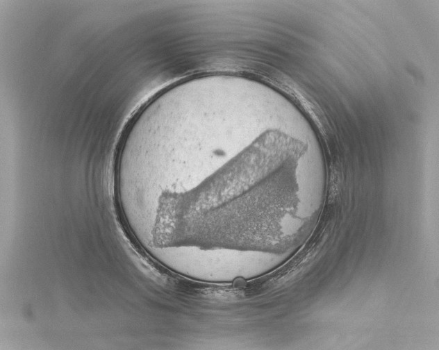 X0000115030795200911161506