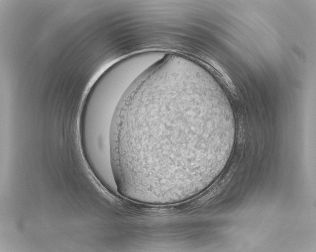 X0000115030796200911161506