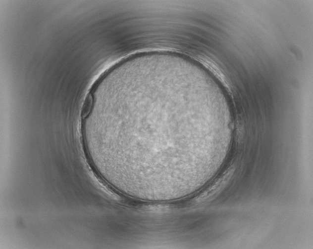 X0000115030797200911161506