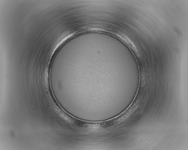 X0000115030798200911161506