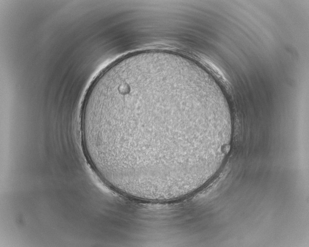 X0000115030800200911161506