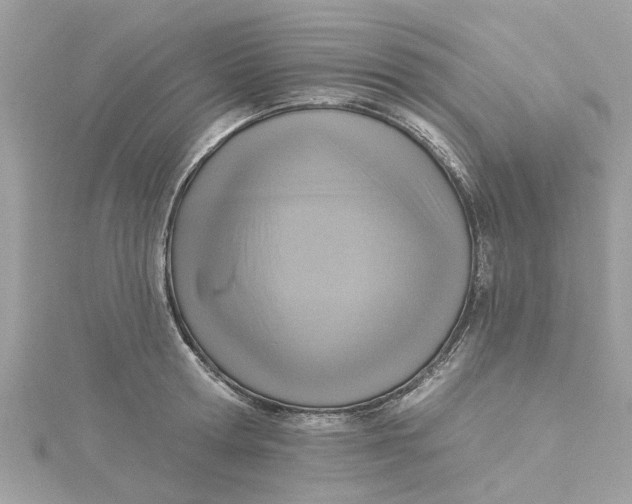 X0000115030802200911161506