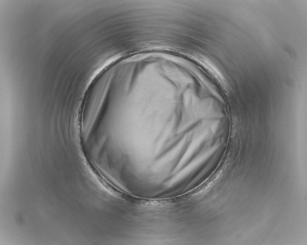 X0000115030806200911161506