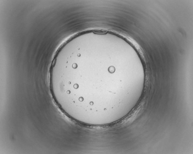 X0000115030807200911161506