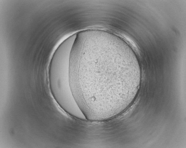 X0000115030808200911161506