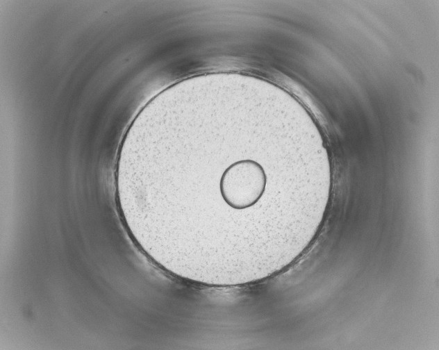 X0000115030810200911161506