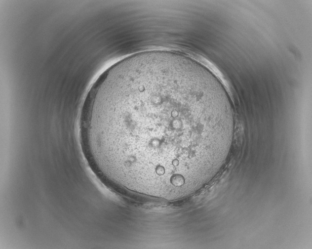 X0000115030811200911161505