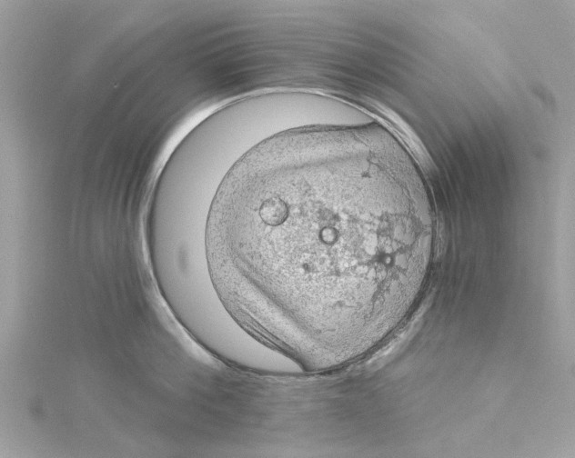 X0000115030812200911161505