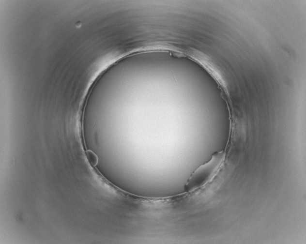 X0000115030813200911161505