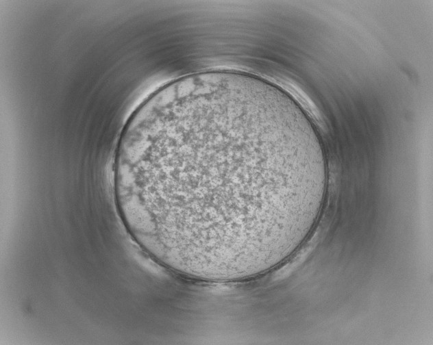 X0000115030814200911161505