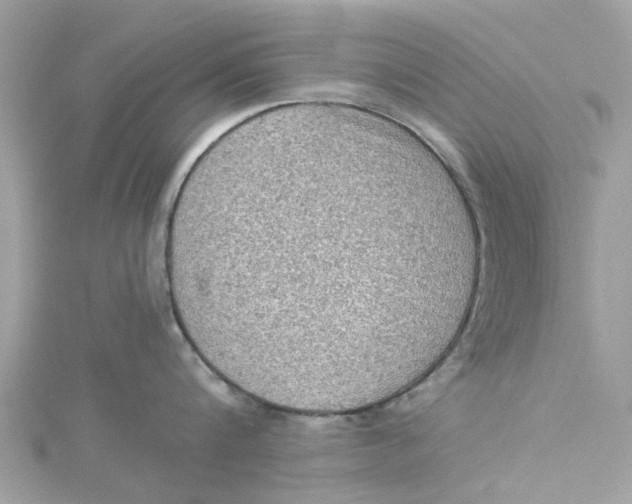 X0000115030816200911161505